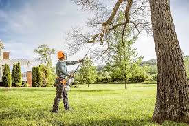Best Tree and Shrub Care  in Nemacolin, PA