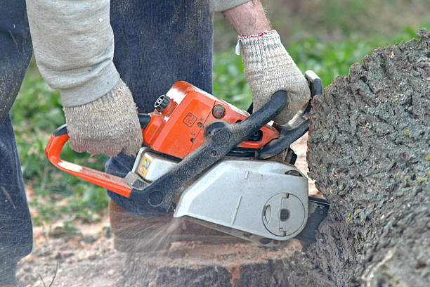 Lawn Maintenance Plans in Nemacolin, PA